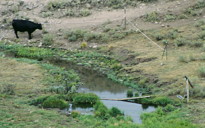 Downed electric fence, Antelope Creek, Antelope Basin Management Area, Montana. Photo by Mike Hudak.