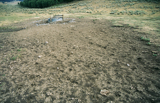 Sacrifice area surrounding cattle trough, Antelope Basin Allotment, Antelope Basin Management Area, Montana. Photo by Mike Hudak.