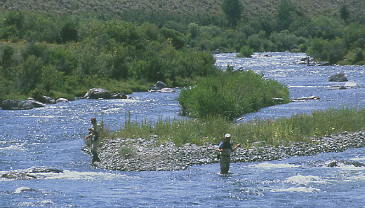 Madison River, Three Dollar Bridge. Photo by Mike Hudak.