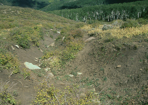 Boren Mesa gully, Brumley Ridge Allotment, Manti-La Sal National Forest, Utah. Photo by Mike Hudak.