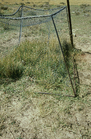 Boren Mesa cattle exclosure, Brumley Ridge Allotment, Manti-La Sal National Forest, Utah. Photo by Mike Hudak.