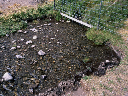 Shearing of stream bank, Burnt Creek Exclosure, Challis Field Office, BLM, Idaho. Photo by Mike Hudak.