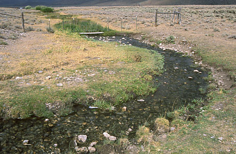 Fenceline contrast: outside eastern section of Burnt Creek Exclosure, Challis Field Office, BLM, Idaho. Photo by Mike Hudak.