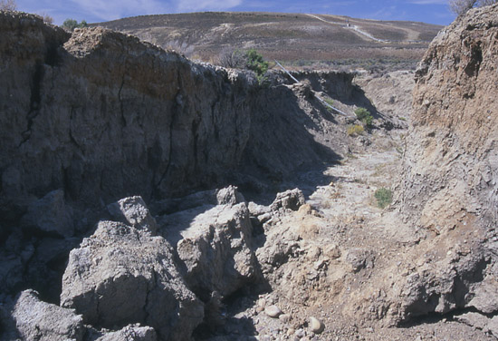 Eroded gulch, soil erosion.