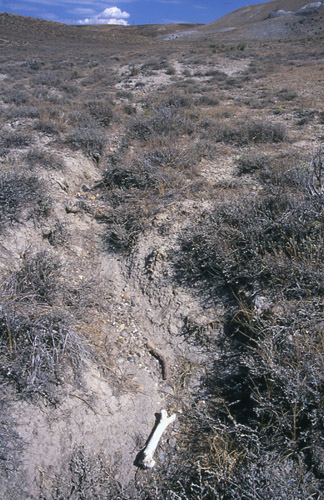 Eroded slope.