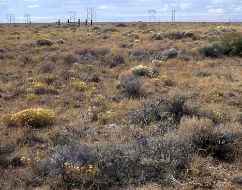 Cumberland Exclosure #2, Cumberland/Uinta Allotment, Kemmerer Field Office, BLM, Wyoming. Photo by Mike Hudak.