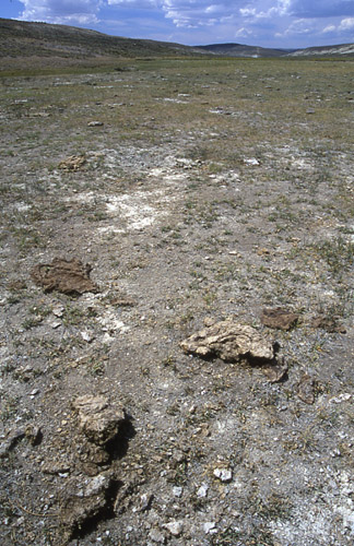 Near Carter Creek Exclosure, Cumberland/Uinta Allotment, Kemmerer Field Office, BLM, Wyoming. Photo by Mike Hudak.