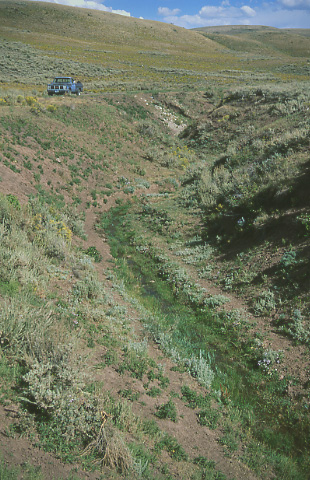 Downcutting of Spring Creek, Cumberland/Uinta Allotment, Kemmerer Field Office, BLM, Wyoming. Photo by Mike Hudak.