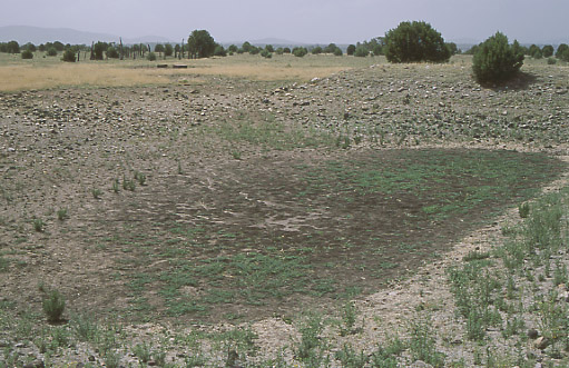 Dry stock tank, Forest Trail #716, Middle Mesa, Diamond Bar Allotment, Gila National Forest, New Mexico. Photo by Mike Hudak.