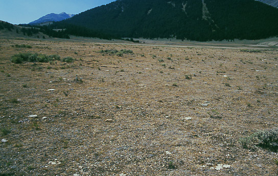 Pahsimeroi Cattle and Horse Allotment, Salmon-Challis National Forest, Idaho. Photo by Mike Hudak.