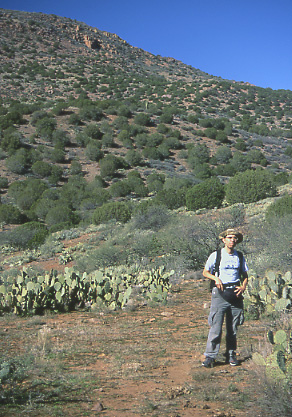 Mike Hudak hiking to Dutchwoman Butte, Tonto National Forest, Arizona. Photo by Mike Hudak.