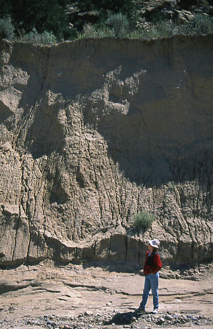 Close view of Alvey Wash, Grand Staircase-Escalante National Monument, Utah. Photo by Mike Hudak.