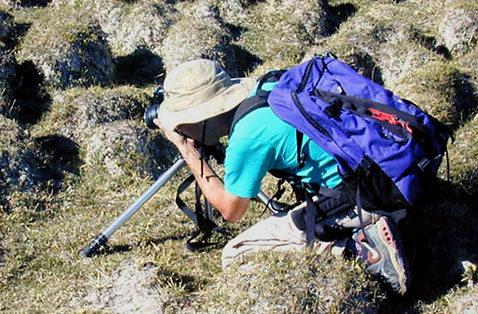 Mike photographing a hummock near Tin Cup Creek, Granite Mountain Open Allotment, Wyoming. Photo by Ray Corning.