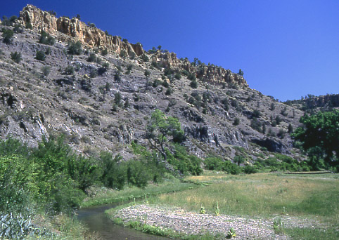 East Fork Gila River, New Mexico. Photo by Mike Hudak.