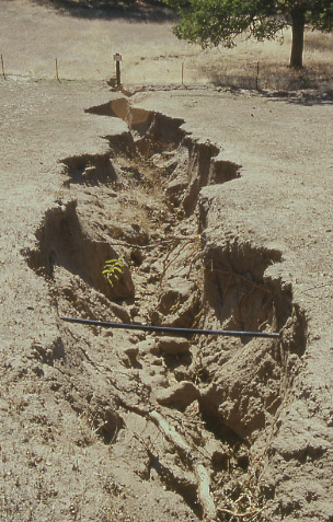 Soil erosion, Sequoia National Forest, California. Photo by Mike Hudak.