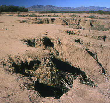 erosion, Arizona State Land. Photo by Mike Hudak.