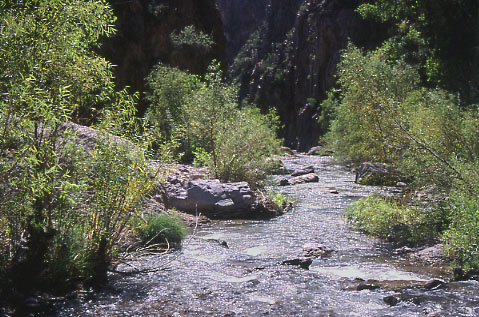 Aravaipa Canyon, Arizona. Photo by Mike Hudak.