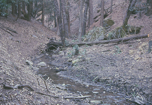 Von Hellum Creek. Photo by Mike Hudak.