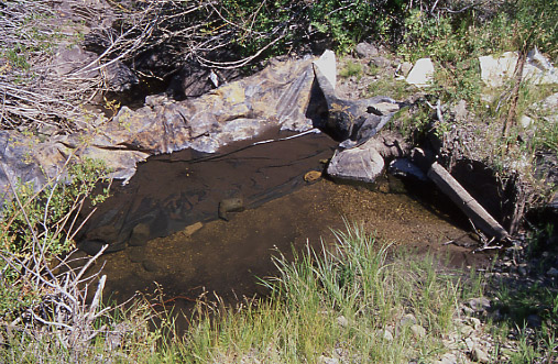 Water Diversion on Morgan Creek, Idaho. Photo by Mike Hudak.