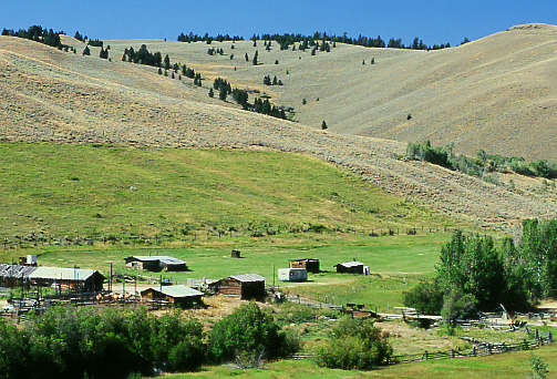 Irrigated pasture, Idaho.