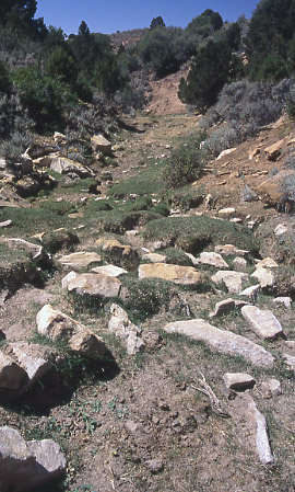 Spring, Rock Creek/Mudholes Allotment, Grand Staircase-Escalante National Monument, Utah. Photo by Mike Hudak.