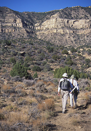 Trail to Fiftymile Mountain. Grand Staircase-Escalante National Monument, Utah. Photo by Mike Hudak.