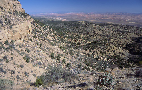 Fiftymile Bench, Grand Staircase-Escalante National Monument, Utah. Photo by Mike Hudak.