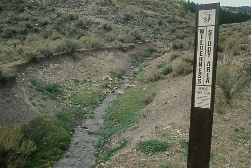 Wilderness Study Area, Smithsfork Allotment, Wyoming. Photo by Mike Hudak.