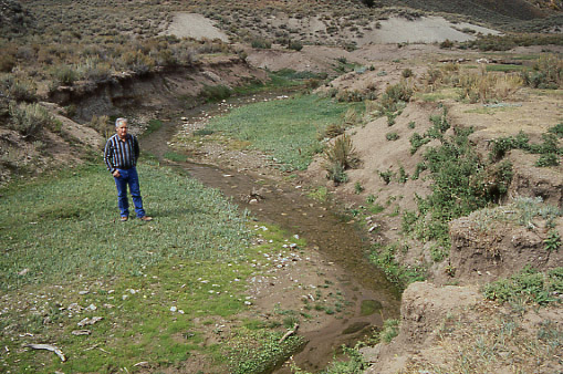 Cattle impacts on Mill Creek, Smithsfork Allotment, Wyoming. Photo by Mike Hudak.