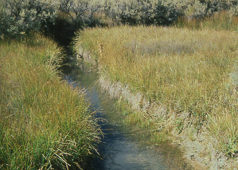 Livestock exclosure, Pine Hollow Creek, Cumberland/Uinta Allotment, Wyoming. Photo by Mike Hudak.