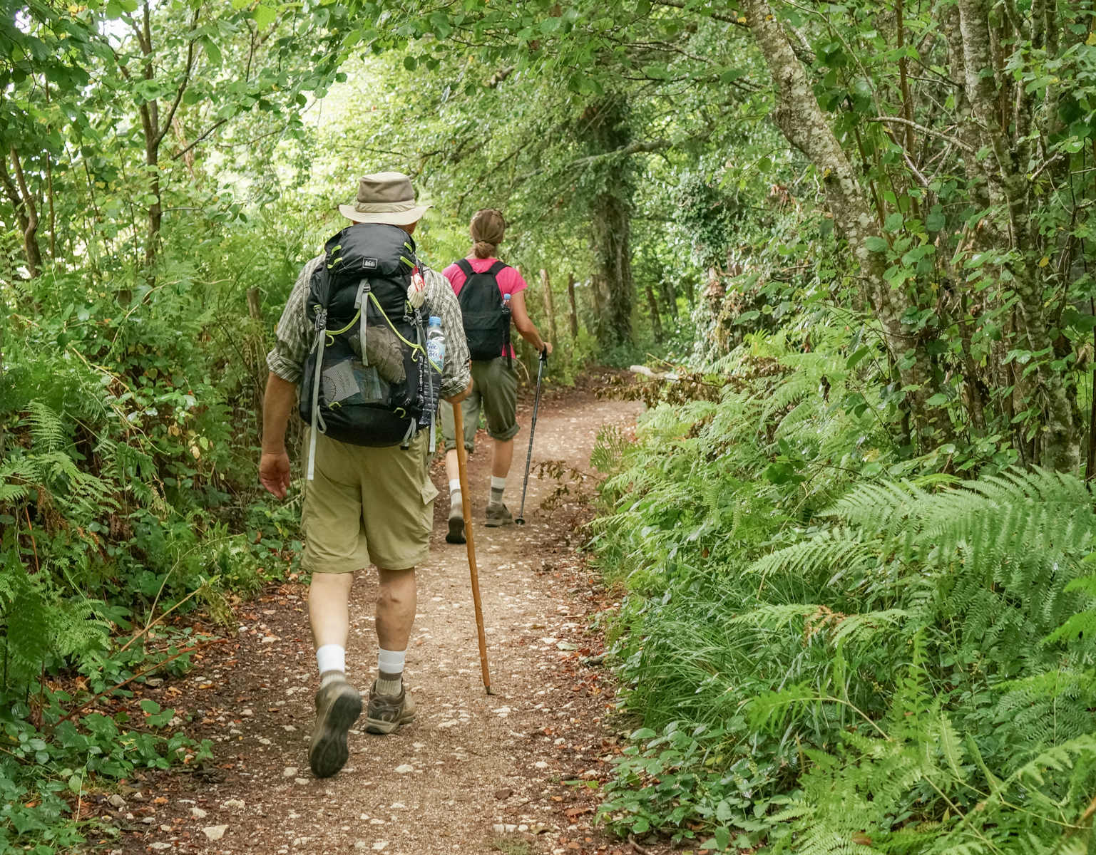 Camino pilgrims walk through dense forest on the Camino Frances west of Espinal, Spain | Photo by Mike Hudak