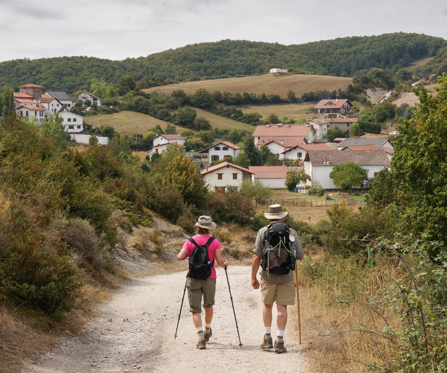Pilgrims walk on the Camino Frances 1.5 km west of Viscarret, Spain | Photo by Mike Hudak