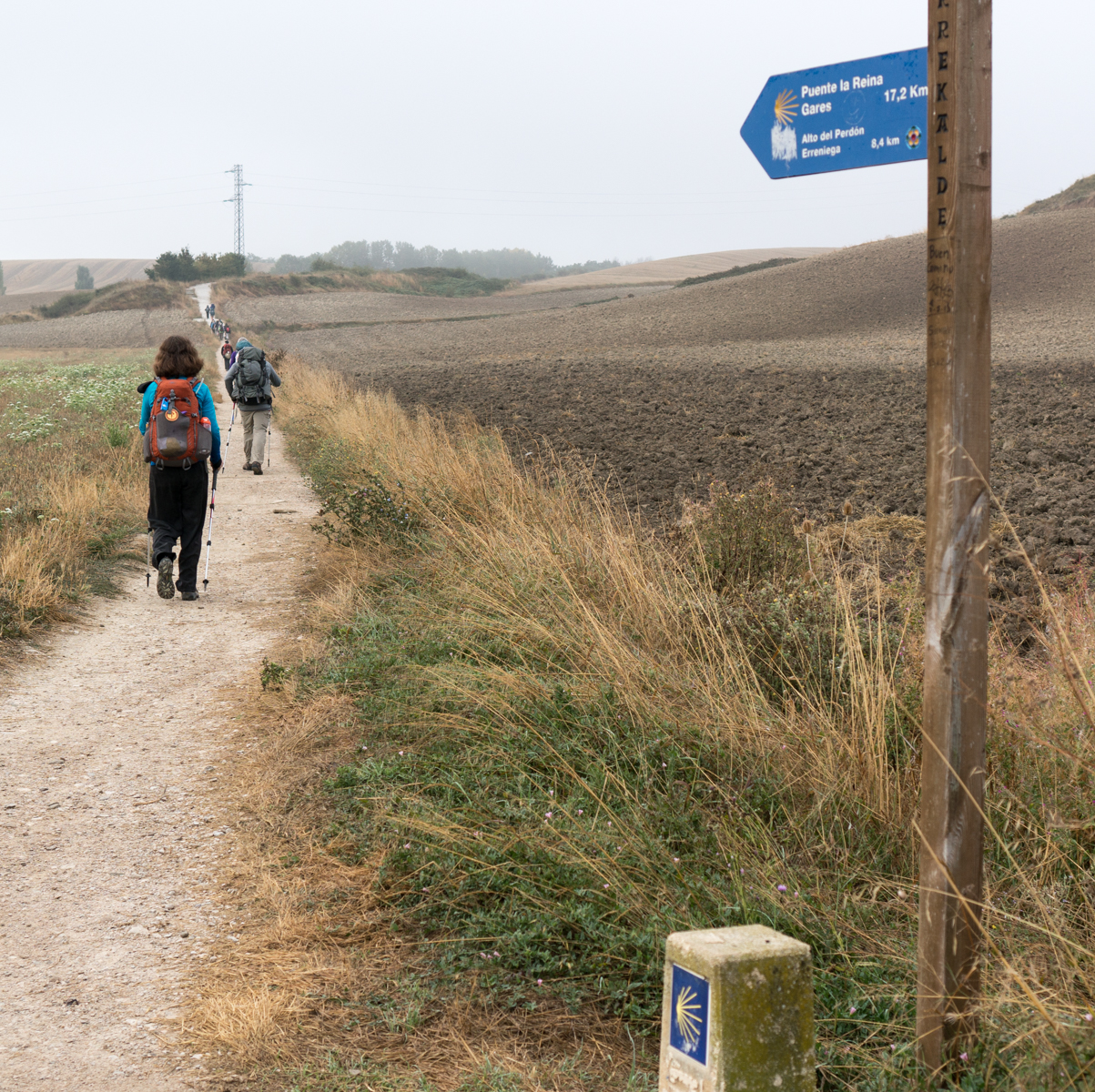 Camino pilgrims walk between agricultural fields 1.8 km west of Cizur Menor, Spain | Photo by Mike Hudak