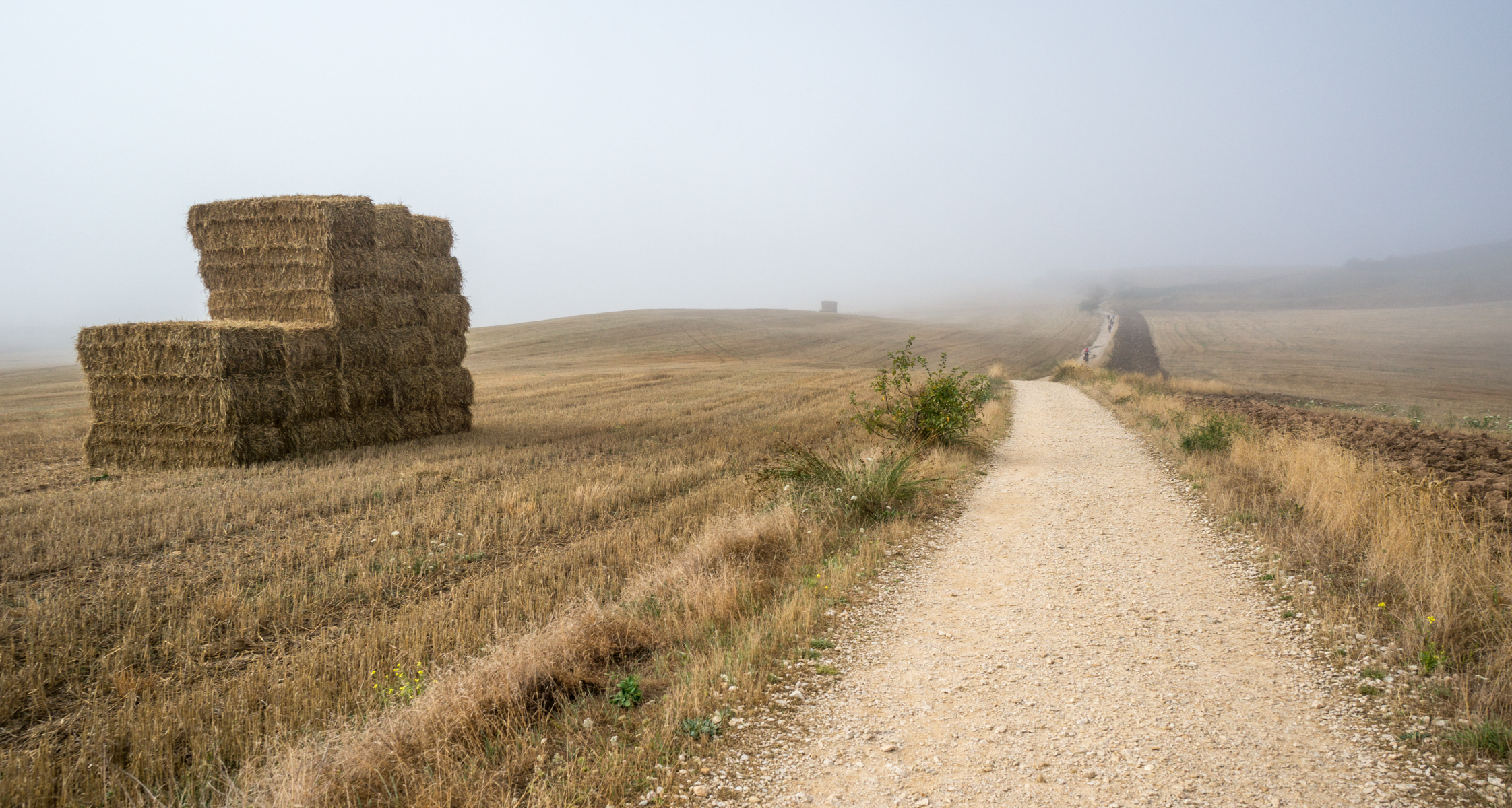 Cut and baled hay in fields along the Camino Francés 1.8 km east of Alto del Perdon, Spain | Photo by Mike Hudak