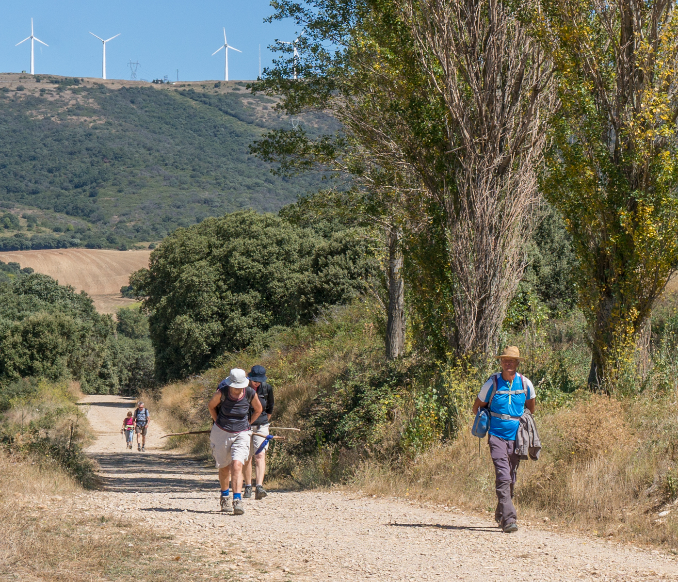 Camino Francés pilgrims viewed from approximately 1.5 km east of Uterga, Spain | Photo by Mike Hudak