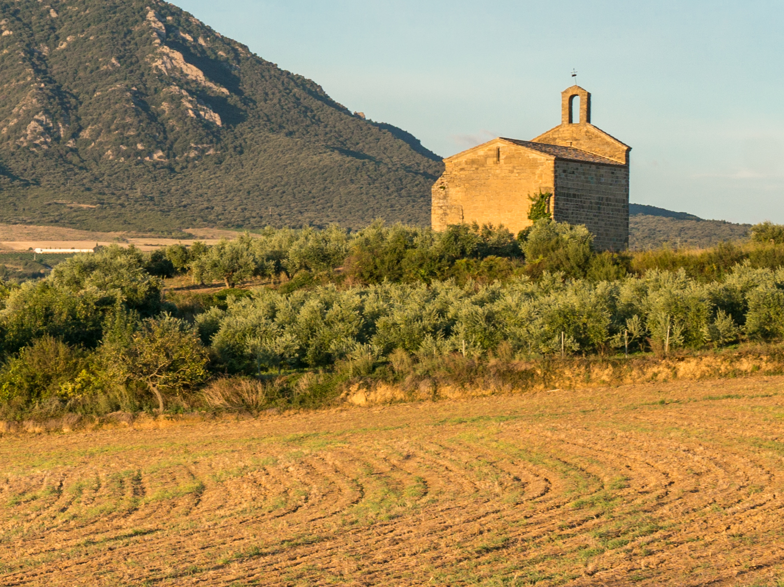 Barn in agricultural field viewed at early morning from Camino west of Villatuerta, Spain | Photo by Mike Hudak