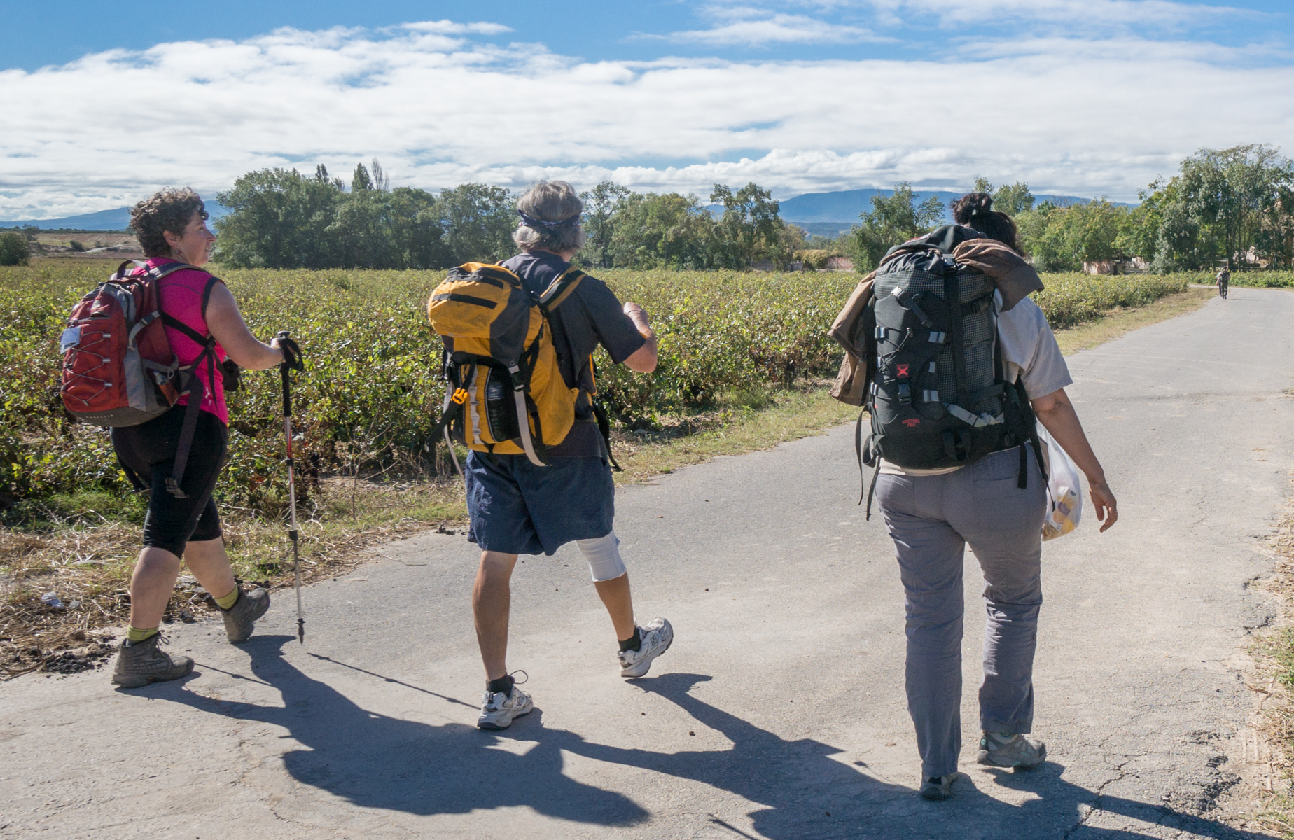 Pilgrims on the Camino Francés west of Viana, Spain | Photo by Mike Hudak