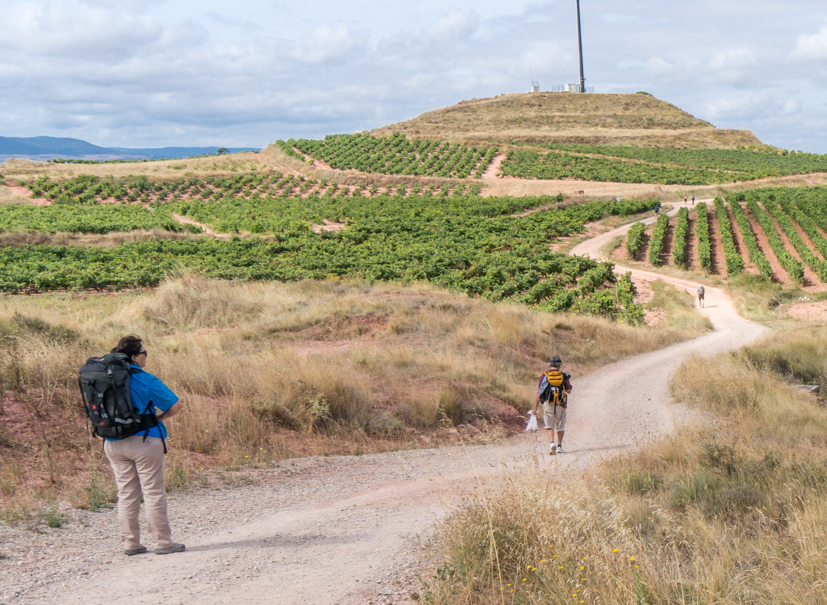 Camino pilgrims walk between vineyards as they approach Poyo de Roldán east of Njera, Spain | Photo by Mike Hudak