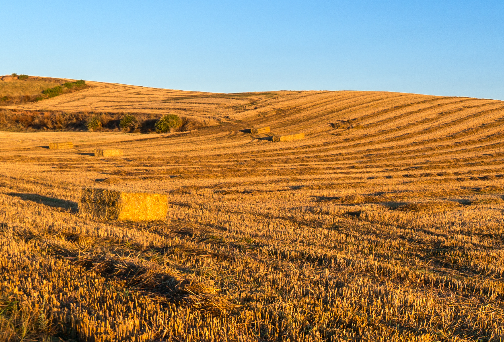 Baled hay in harvested field at sunrise on the Camino Francés approximately 5.5 km west of Azofra, Spain | Photo by Mike Hudak