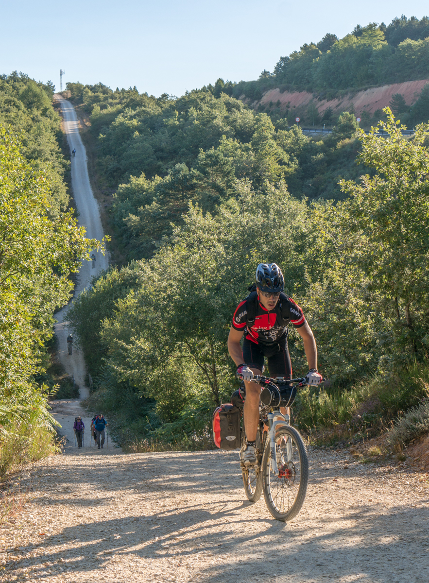 Cyclist on the Camino Frances west of Villafranca Montes de Oca, Spain | Photo by Mike Hudak