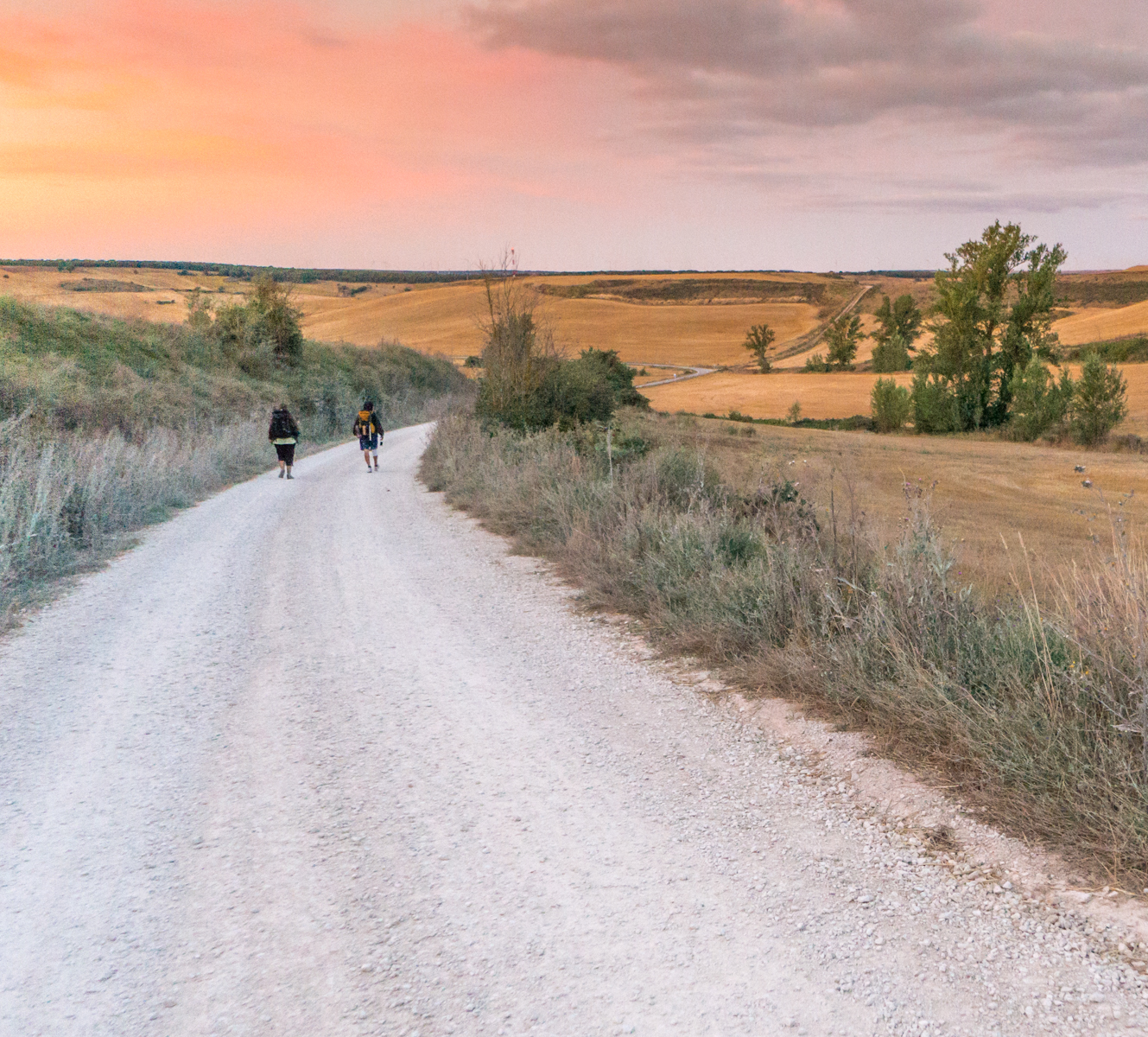 Camino pilgrims pass harvested fields approximately 1.8 km east of Orbaneja Riopico, Spain | Photo by Mike Hudak