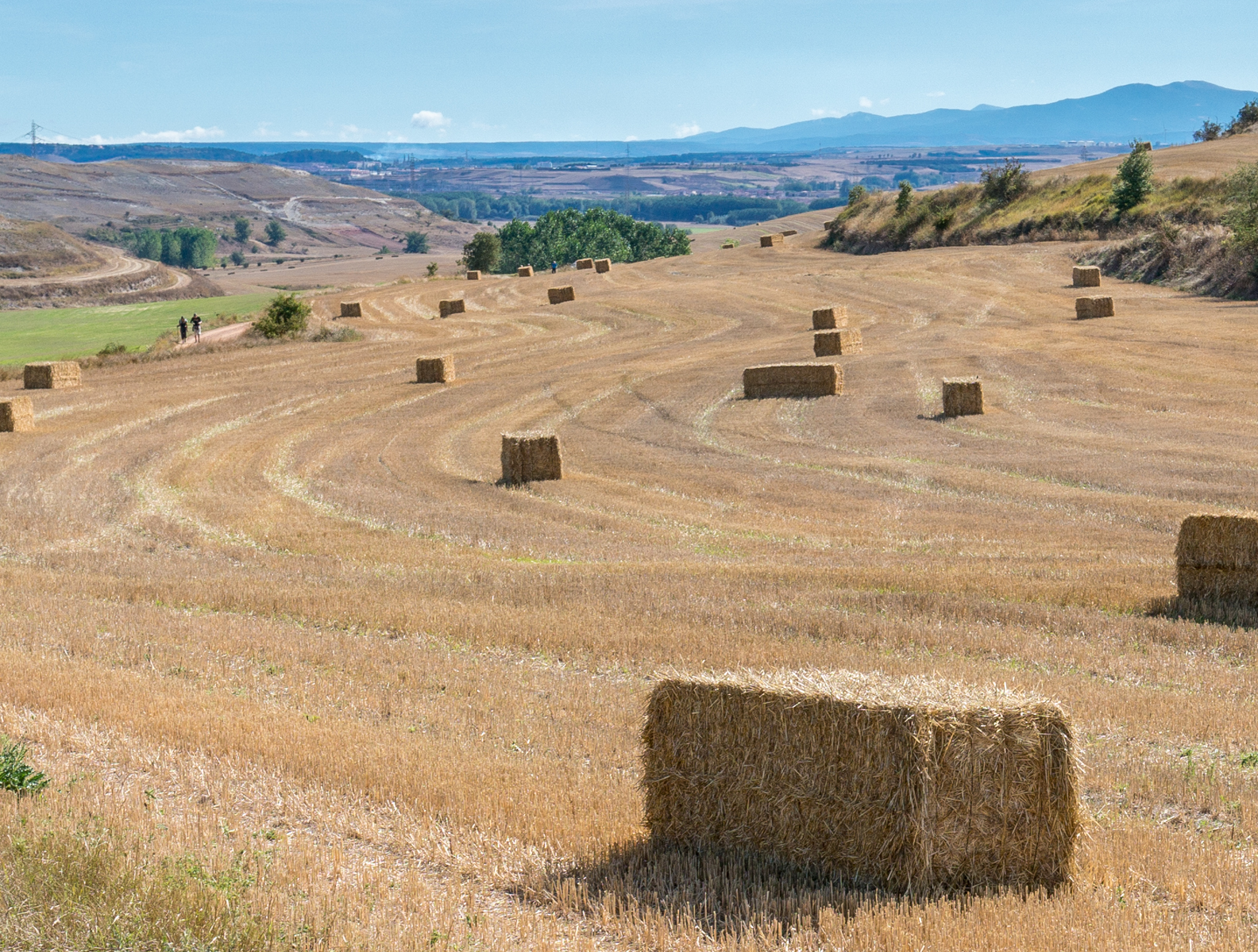 Hay bales in harvested field along the Camino Francés west of Rabé de las Calzados, Spain | Photo by Mike Hudak