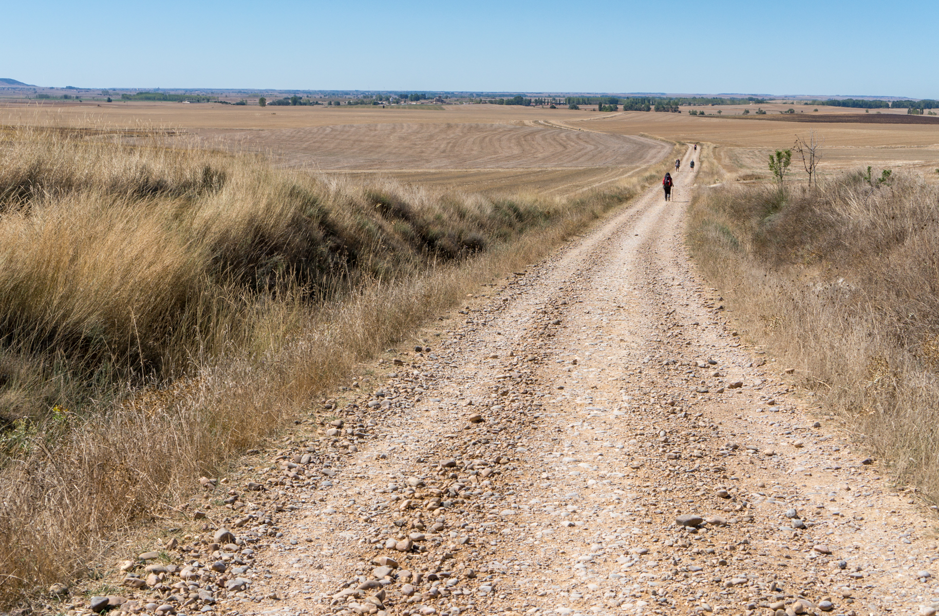 Westerly view of the Camino Francés approximately 3.3 km (2 miles) west of Itero de la Vega, Spain | Photo by Mike Hudak