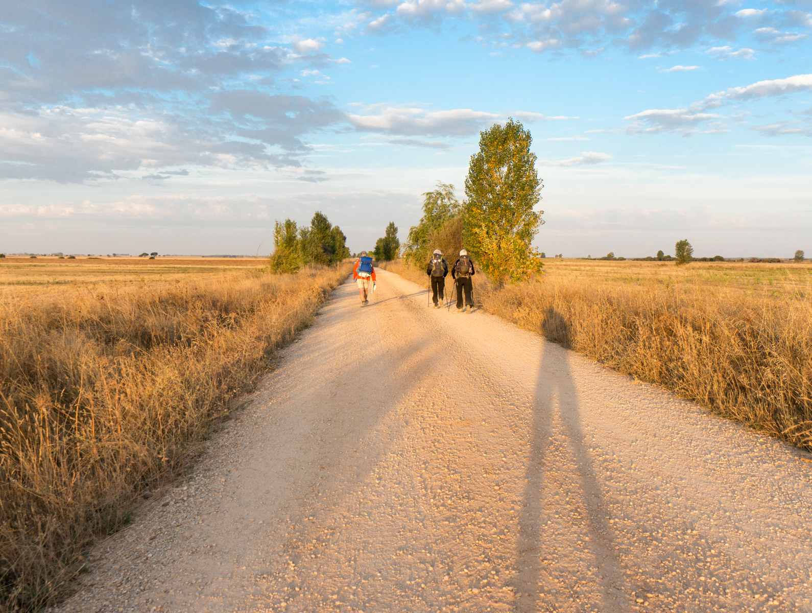 Camino pilgrims on the Via Aquitana west of Carrión de los Condes, Spain | Photo by Mike Hudak