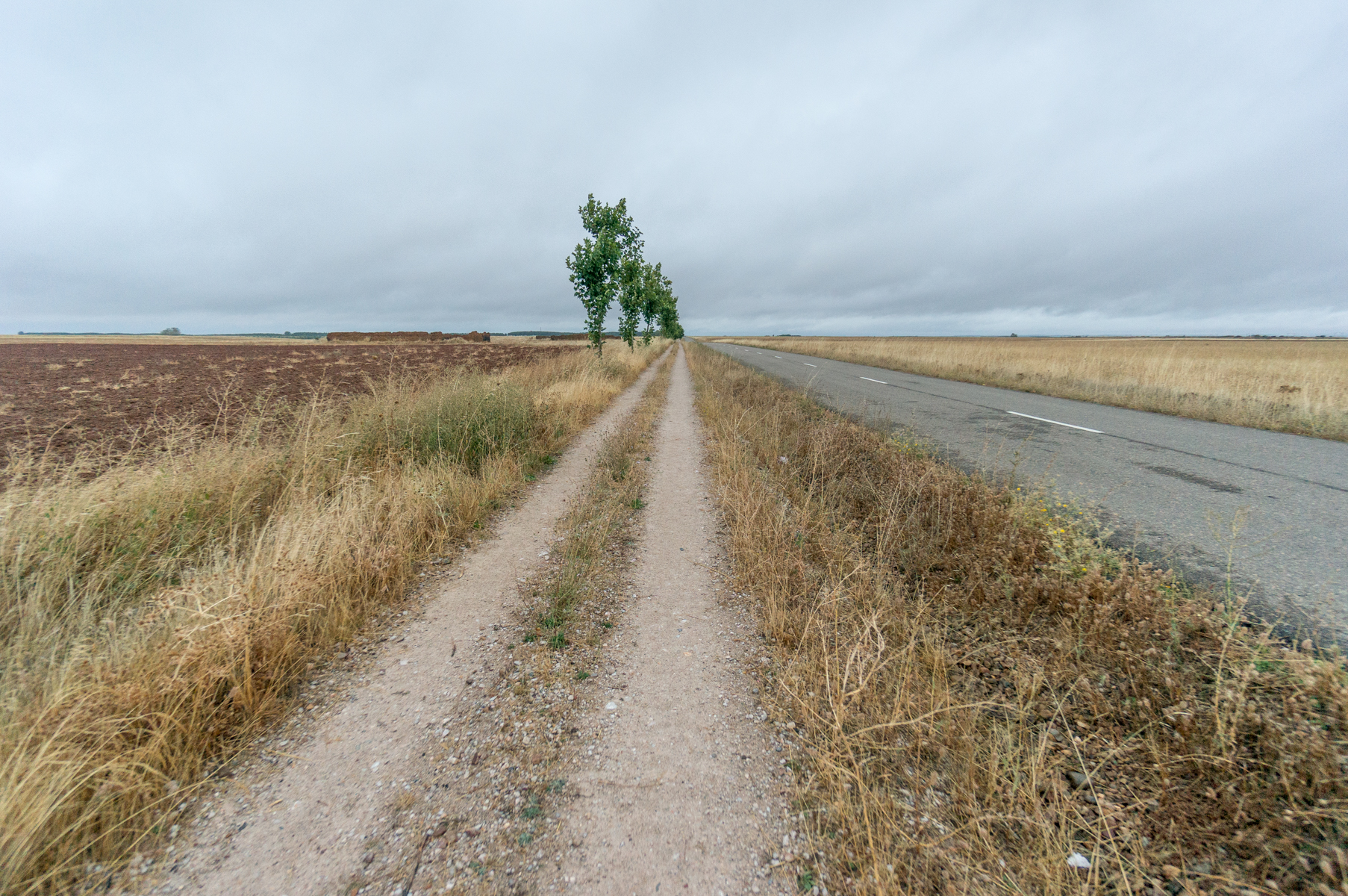 Westerly view of a deserted Camino Frances approximately 4.5 km (2.8 miles) west of El Burgo Ranero, Spain | Photo by Mike Hudak