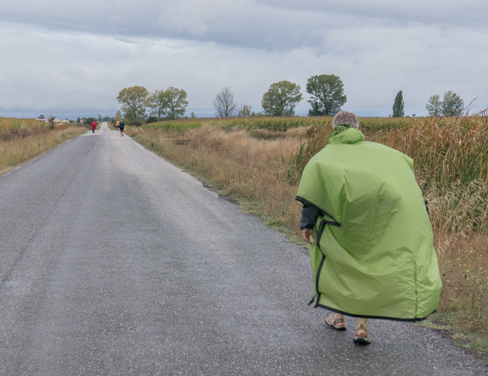 Pilgrims in rain on the Camino Francs approximately 2 km (1.24 miles) west of Villar de Mazarife, Spain | Photo by Mike Hudak