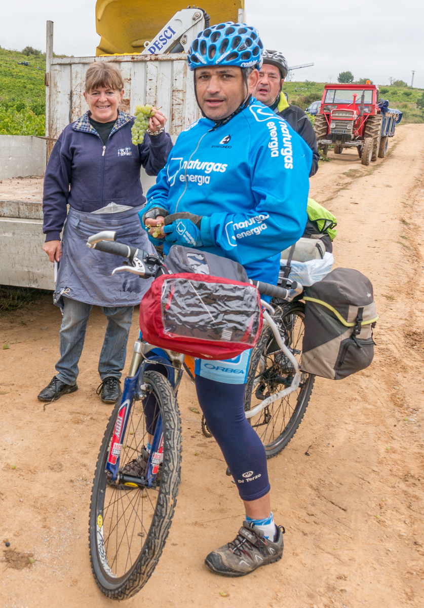 Cyclist pilgrims and vineyard worker on the Camino Francés west of Camponaraya, Spain | Photo by Mike Hudak