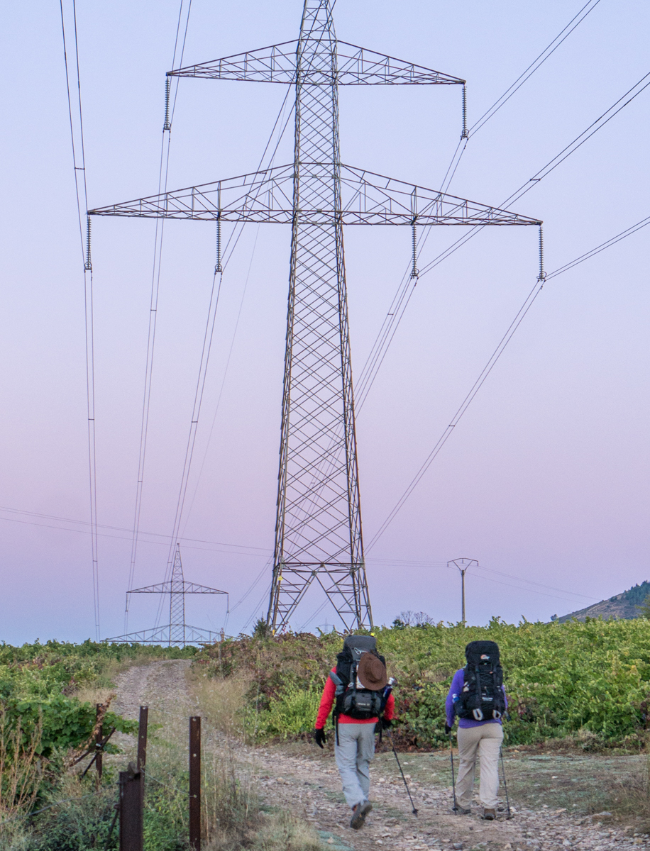 Camino pilgrims walk through vineyards and under high-voltage power lines west of Pieros, Spain.