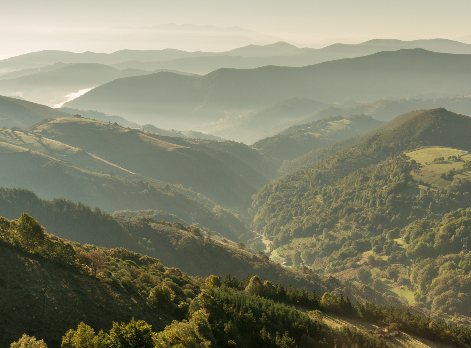 Easterly view from Camino Francés approximately 1.2 km (0.75 miles) west of the Galician border | Photo by Mike Hudak