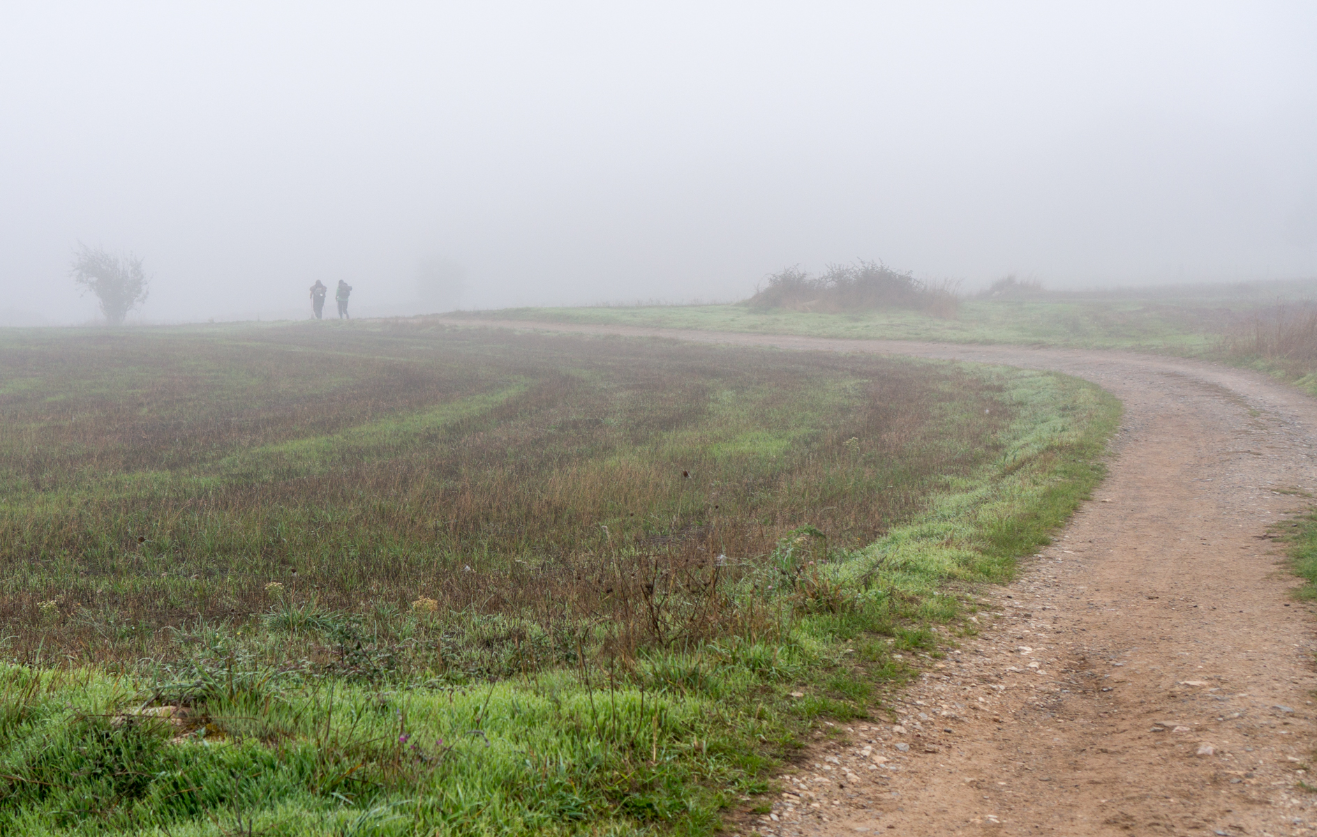 Two pilgrims on a foggy section of the Camino Francés as it passes between harvested agricultural fields west of Sarria, Spain | Photo by Mike Hudak